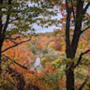 Meet your Posher, Matt